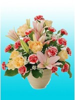 Carnations And Lilies Arrangement 